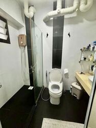 Blk 250A Compassvale Haven (Sengkang), HDB Executive #618684851